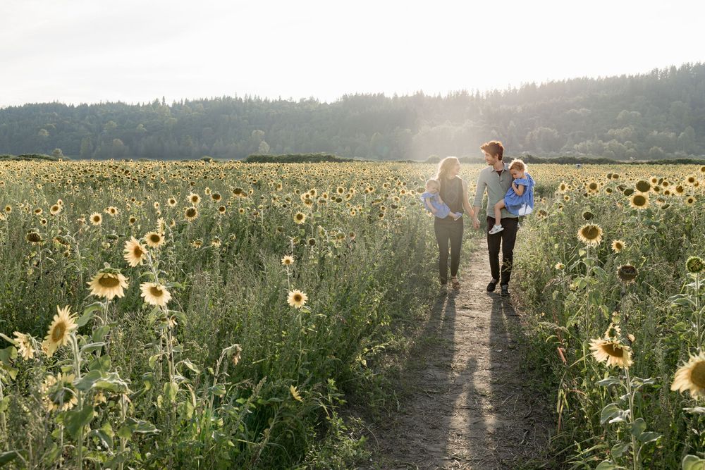 Family walking on a sunflower field path with golden light and forested hills in the background.