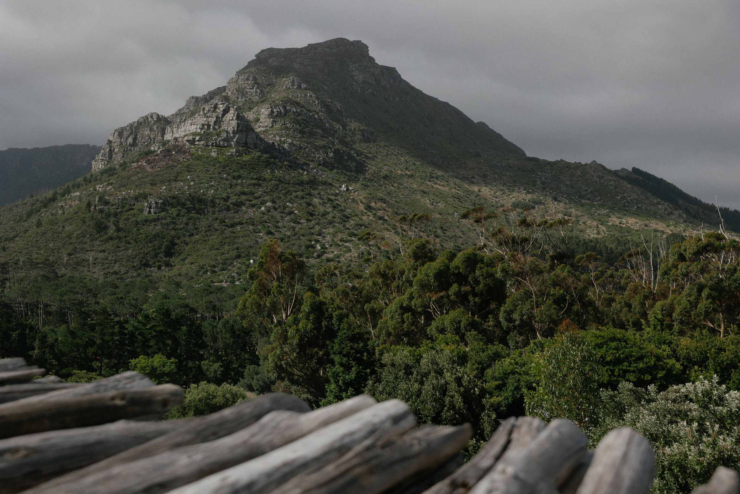 Browse Cape Town wedding for real weddings by Christene de Coning Photography at Silvermist Organic Wine Estate.