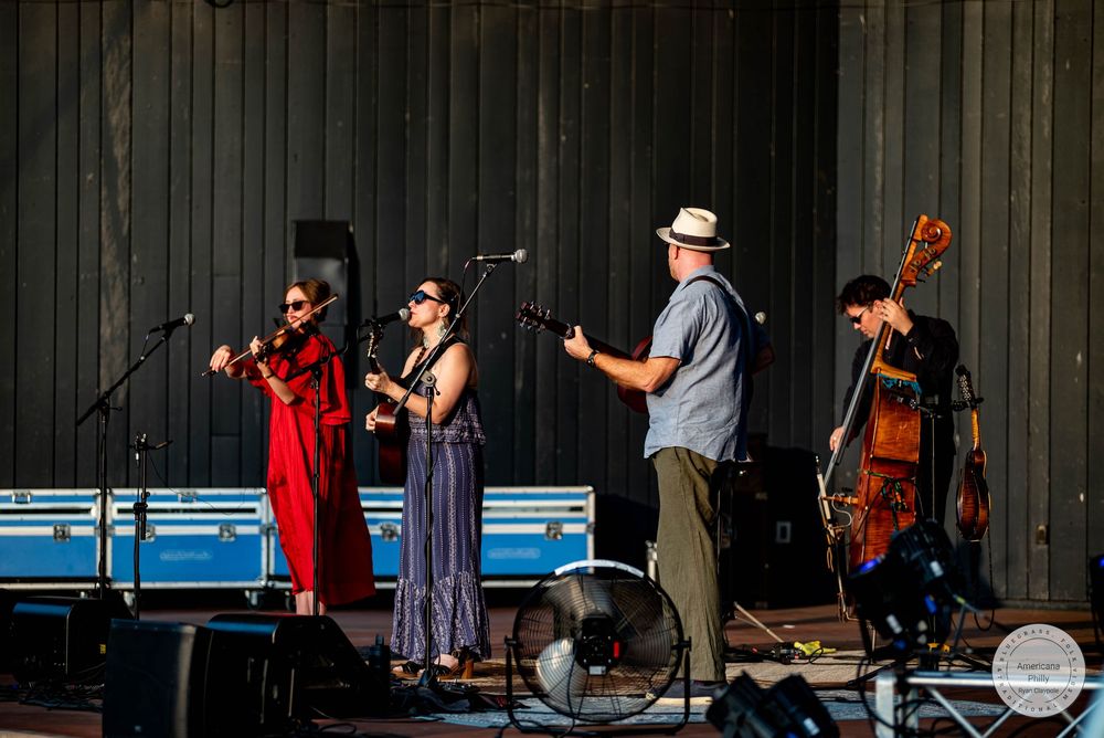 Four-piece folk band performing on an outdoor stage at a sunny music festival.