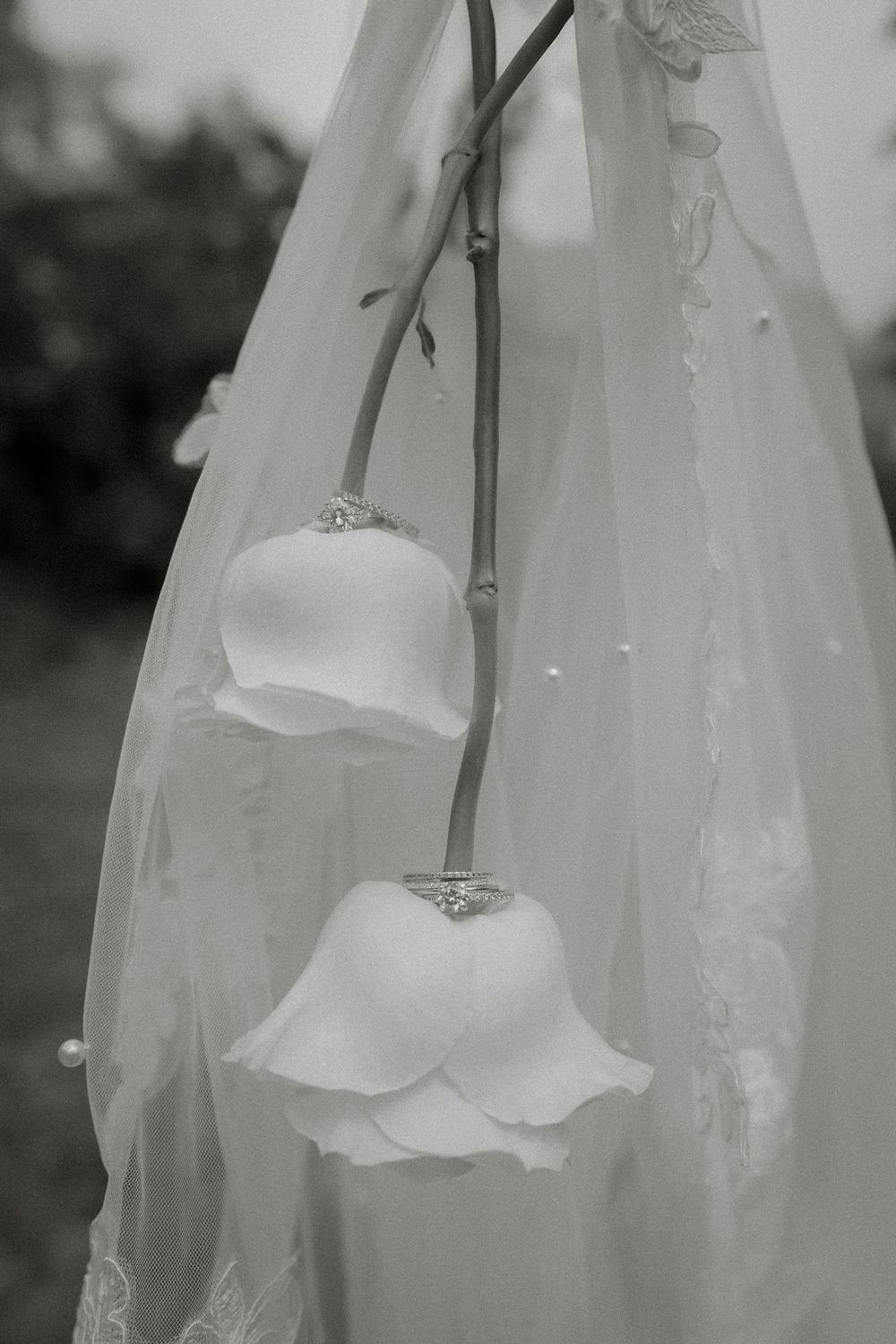 Black and white photo of two delicate white rose buds hanging from stems beside a bridal veil with pearl details.