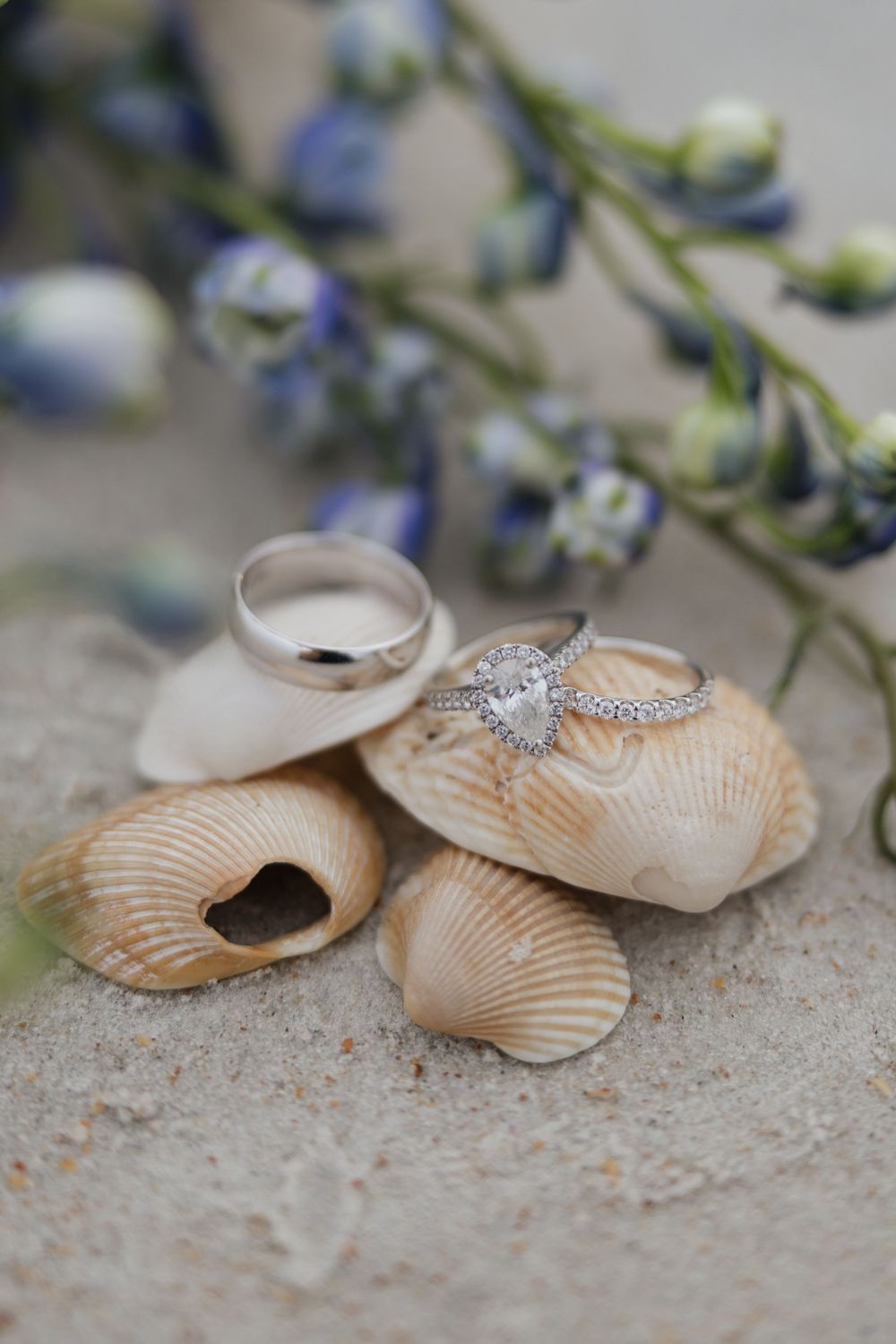Wedding rings resting on seashells in sand with blue wildflowers, featuring a pear diamond halo engagement ring.