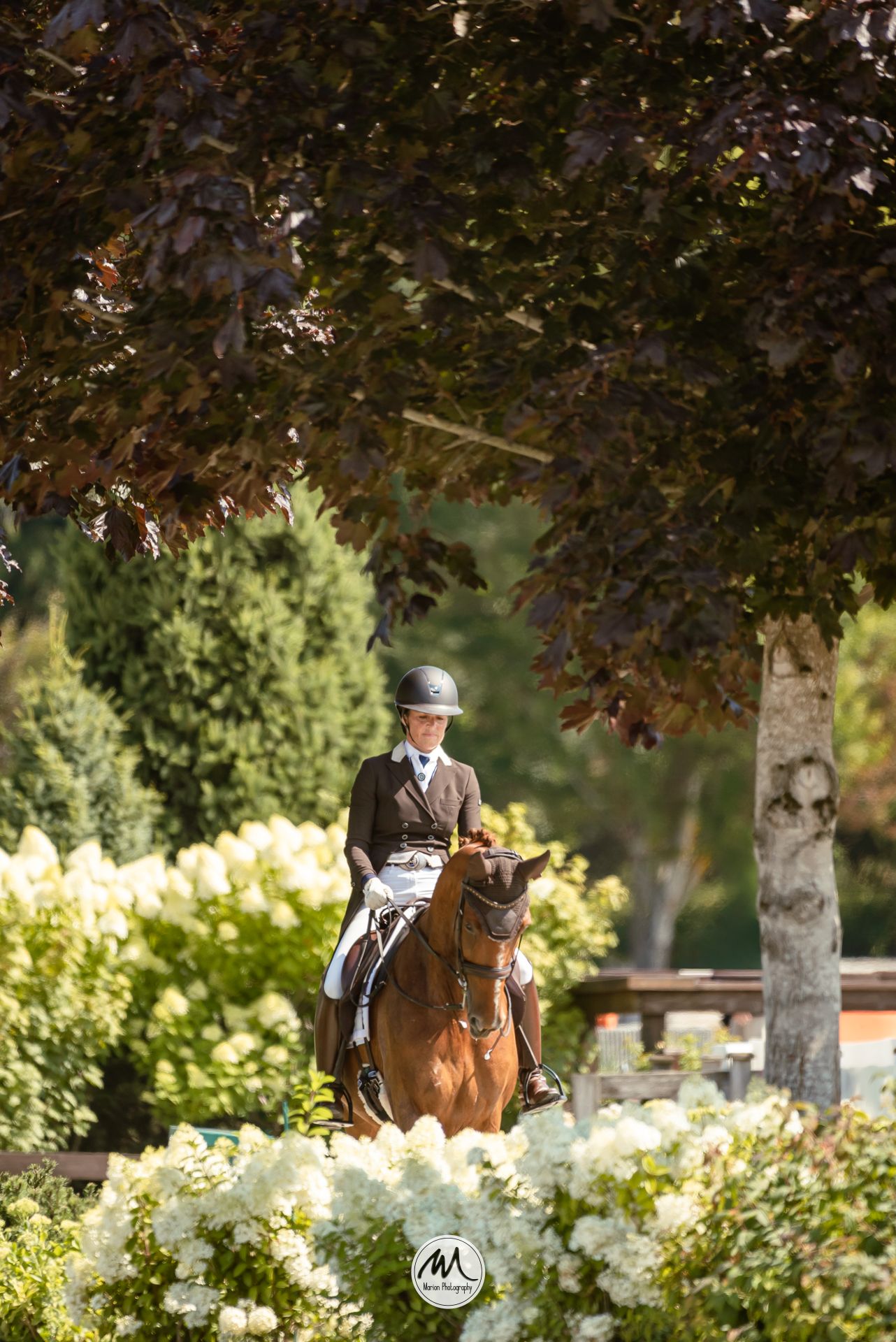 Equestrian rider on a chestnut horse performing dressage in an arena with blue stadium seating and Steelcraft Door Products signage.
