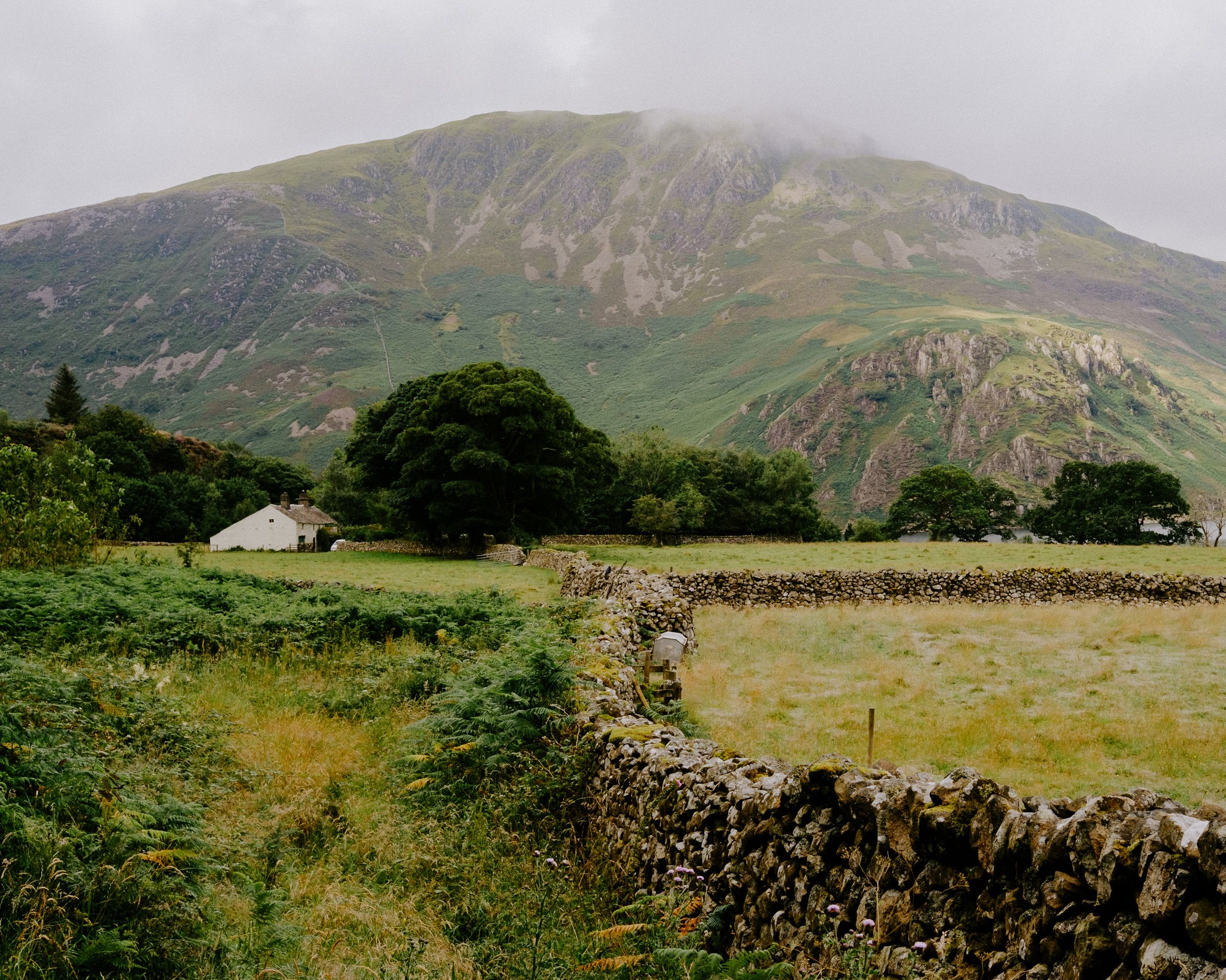 A misty green mountain looms over a rural landscape with stone walls, a white cottage, and lush trees in Ireland.