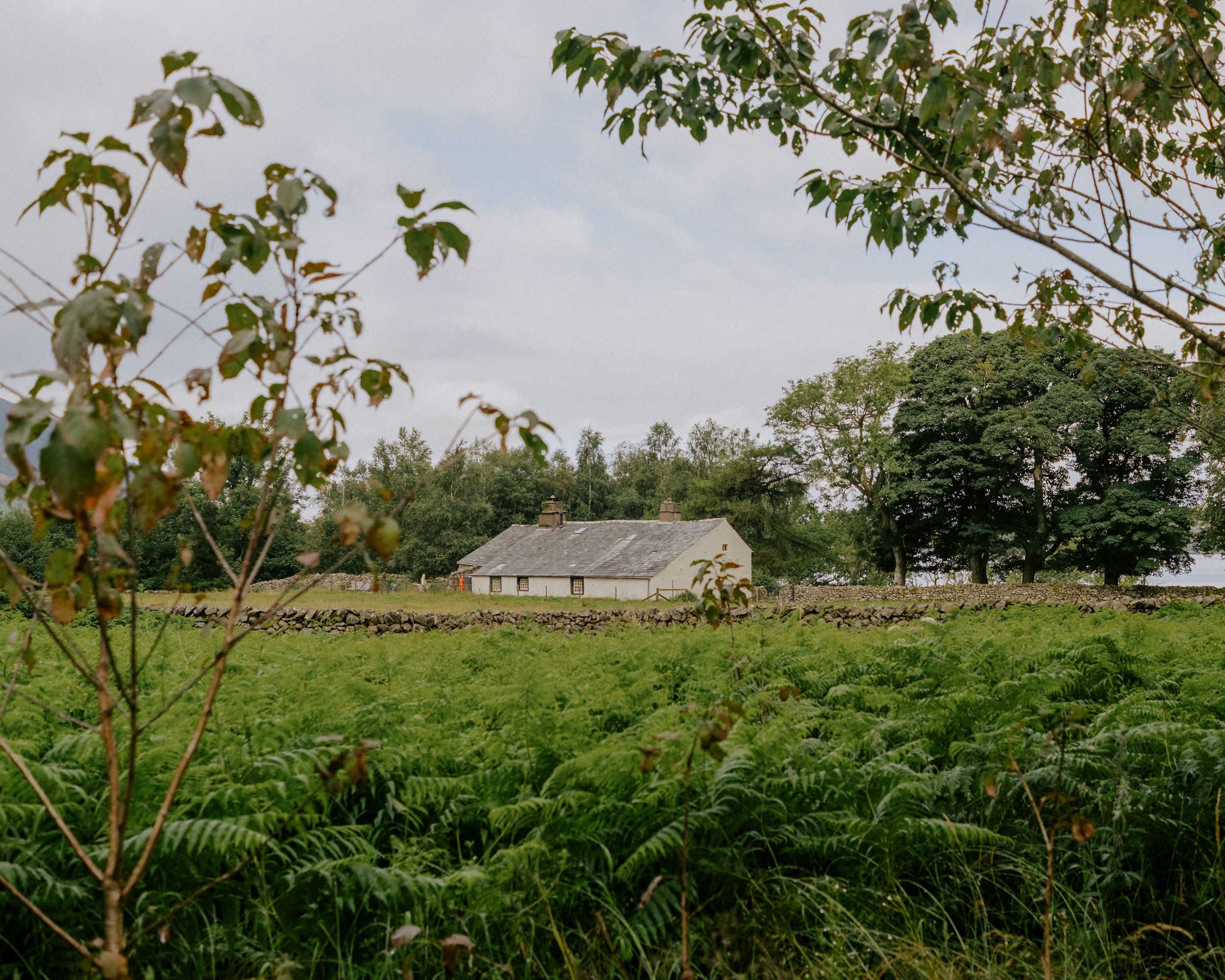 A rustic white cottage surrounded by lush green ferns and trees under a cloudy sky in a rural countryside landscape.