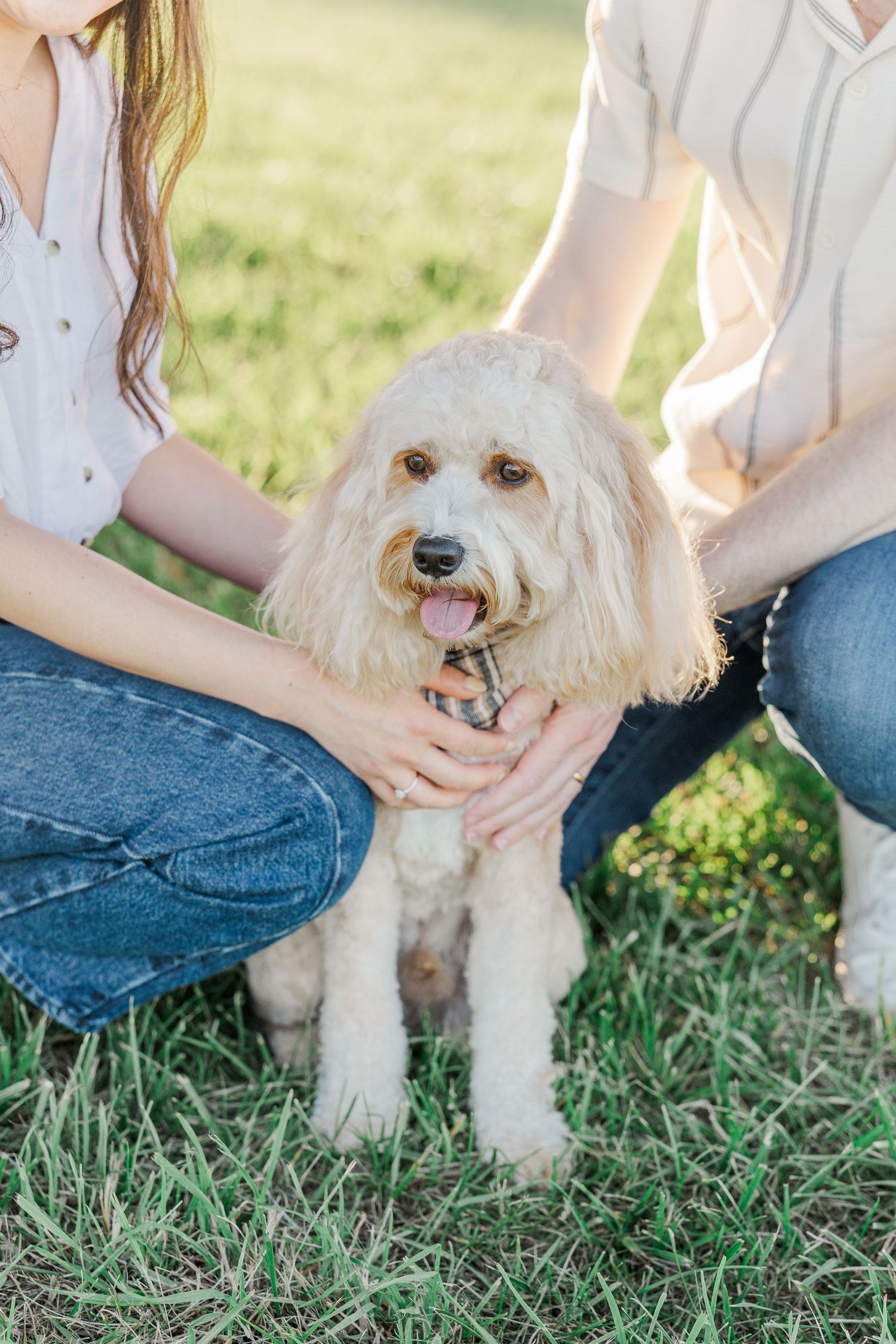 Two people kneeling in grass with a fluffy golden Labradoodle dog sitting between them outdoors.
