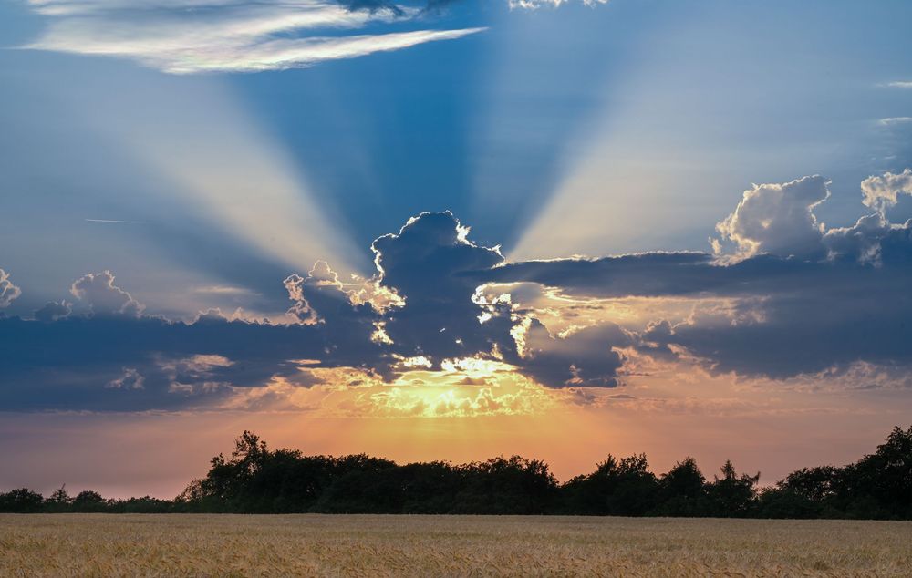 coucher de soleil avec rayons crépusculaires perçant à travers les nuages au-dessus d'un champ, ciel orangé