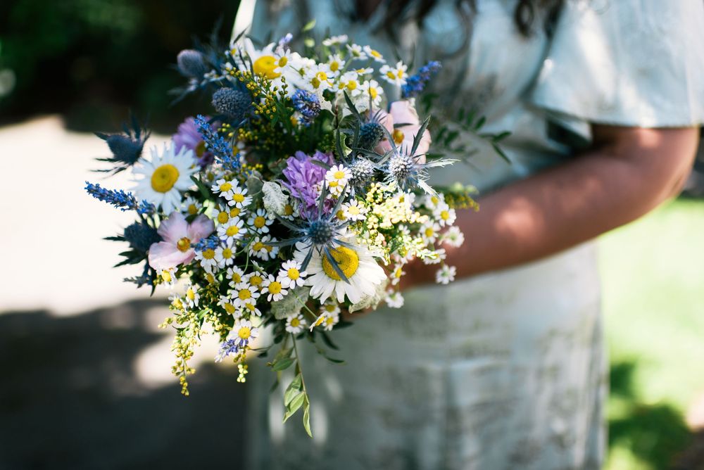 Person holding a wildflower bouquet with daisies, blue thistles, and purple blooms in natural outdoor setting.