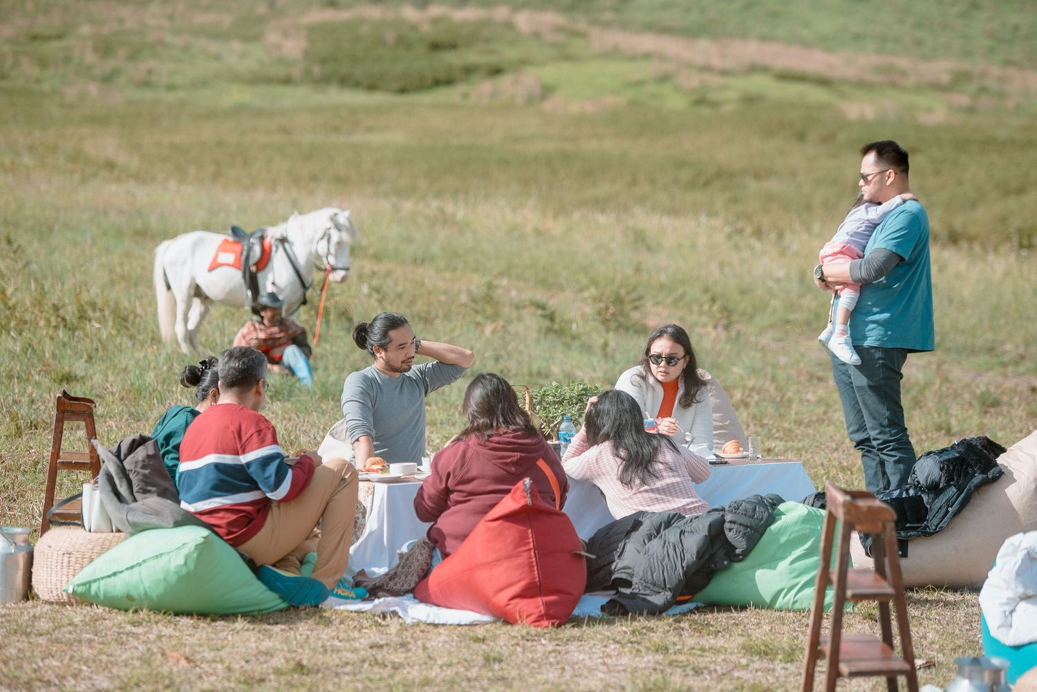 Group of friends enjoying an outdoor picnic on bean bag chairs in a grassy field with a white horse nearby.