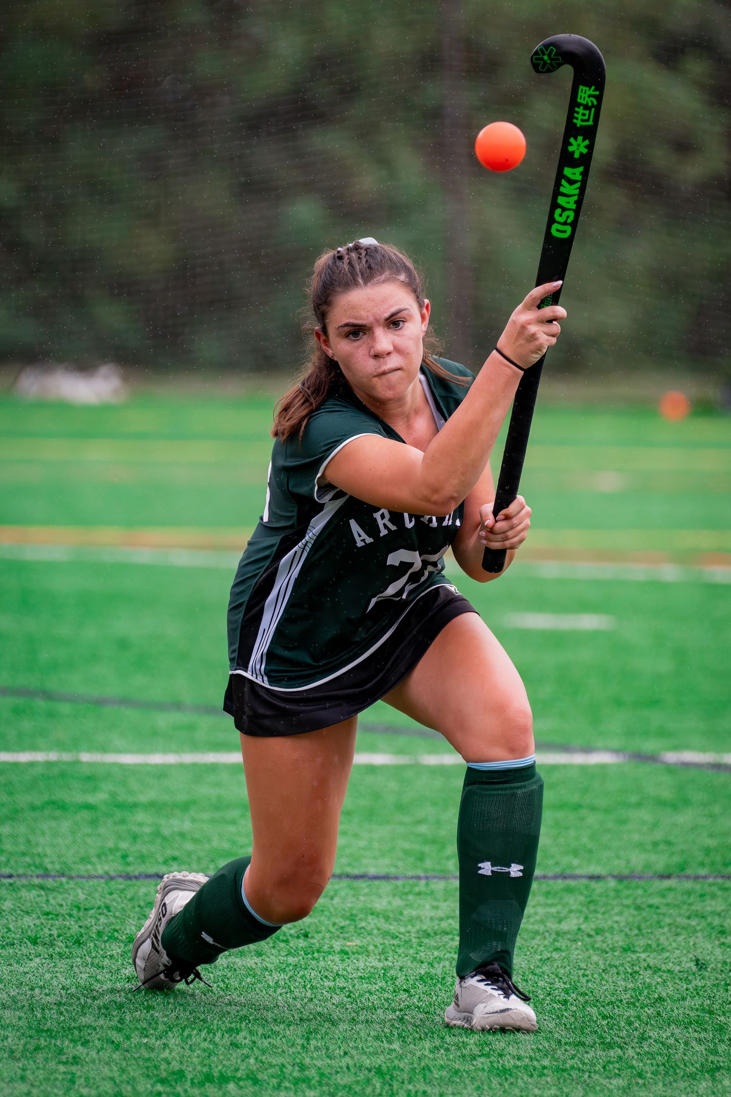 South Jersey Sports Photographer - Action for DE field hockey team