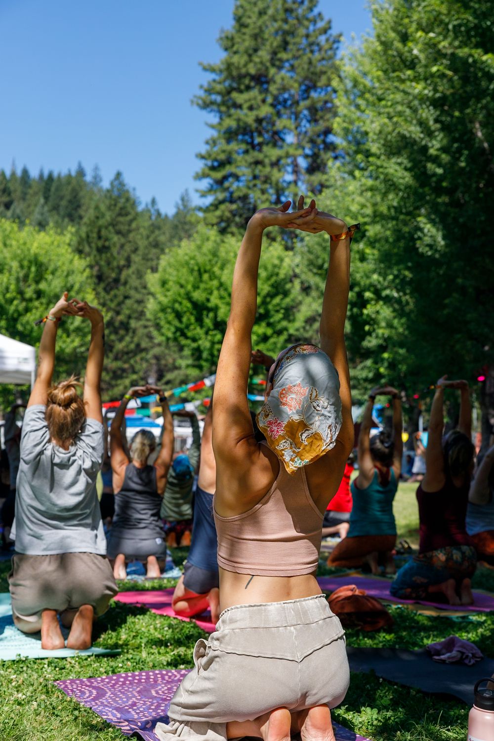 Group outdoor yoga session on grass with tall evergreen trees, participants raising arms overhead on colorful mats.