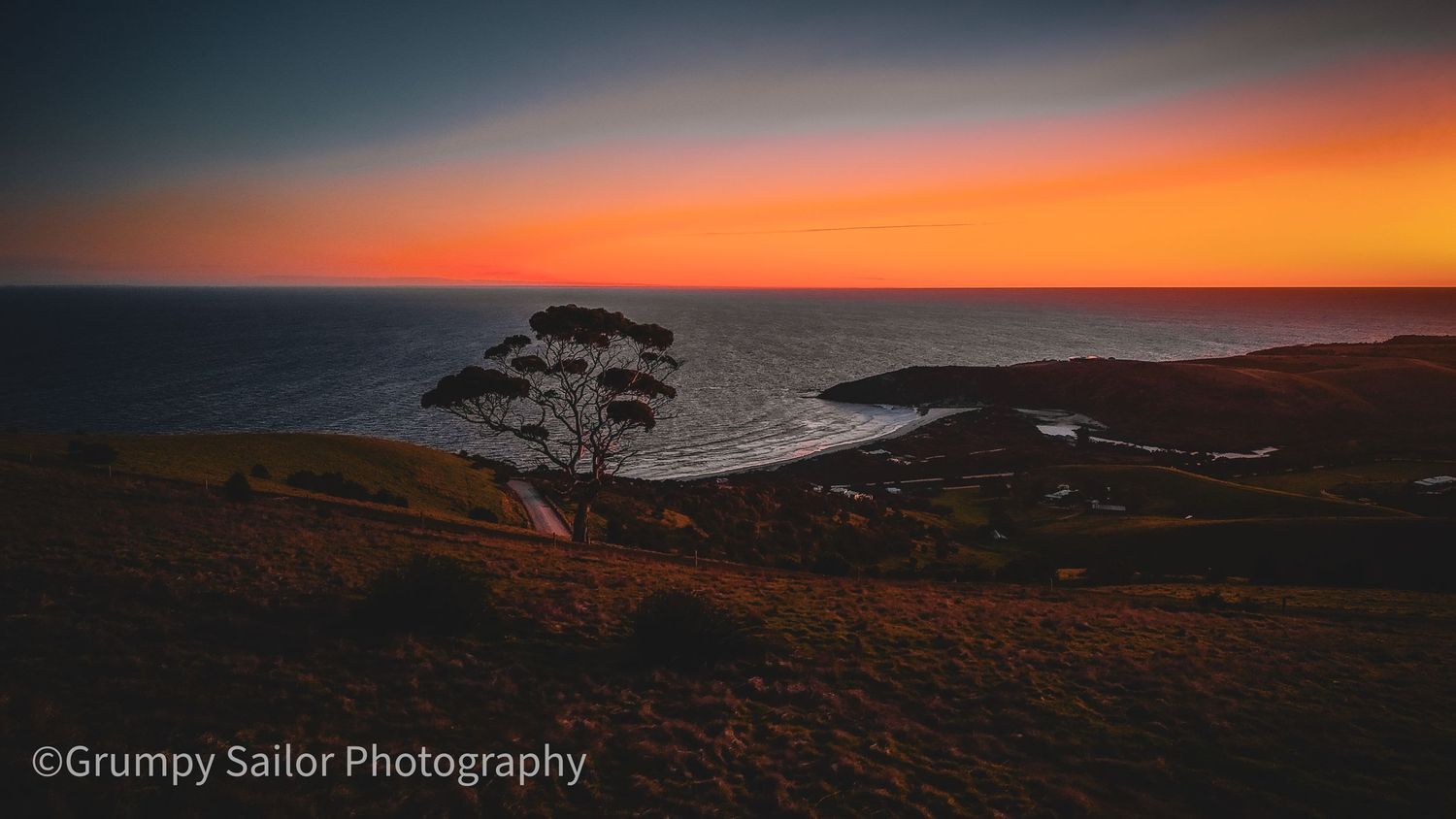 Stunning coastal sunset with lone tree silhouetted against vivid orange and red horizon over calm sea.