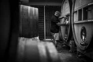 Black and white photo of a winemaker inspecting large oak barrels in a traditional winery cellar.