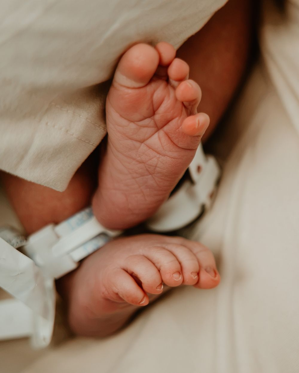 Close-up of tiny newborn baby feet with hospital ID bracelet, wrapped in soft cream blanket.