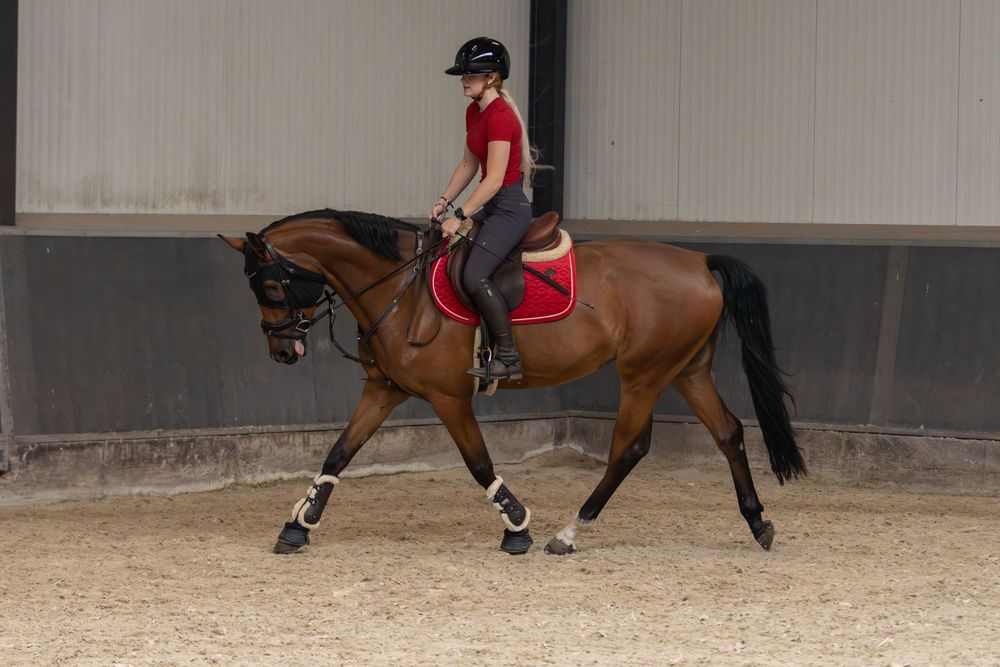 Jonge vrouw met rood shirt en rood dekje rijd op een bruin paard.