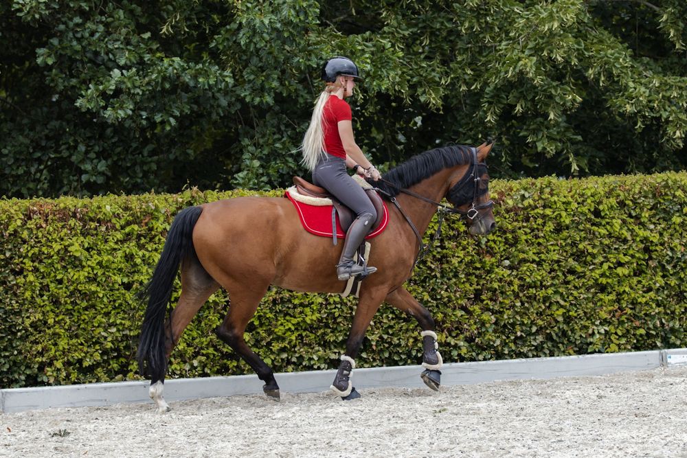 Jonge vrouw met rood shirt en rood dekje rijd op een bruin paard.