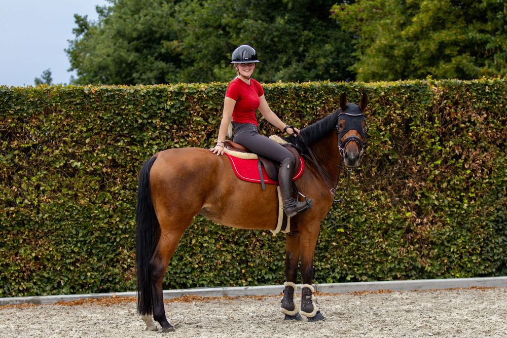 Ruiter in een rood shirt en zwarte cap zit op een opgetuigd bruin paard in een buitenrijbaan.