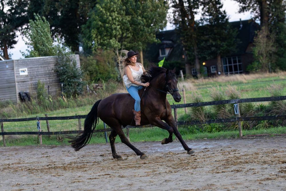 Meisje rijdend op zwart paard