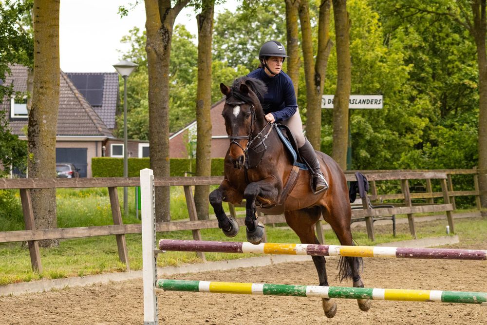 Meisje met bruin paard springt over de hindernis