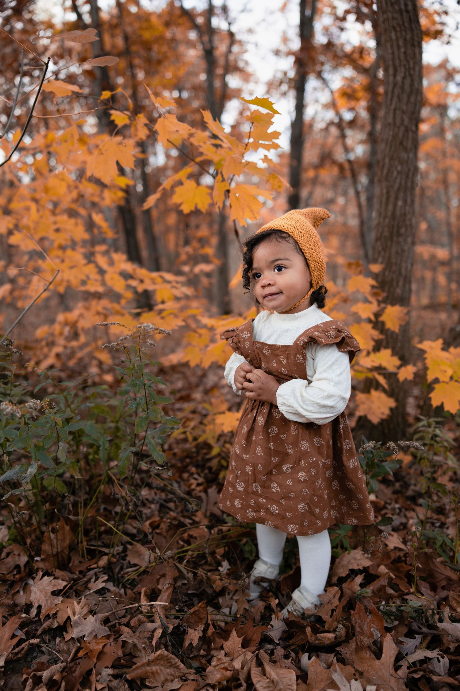 Toddler girl in brown floral dress and orange knit hat standing among fall leaves in autumn forest.