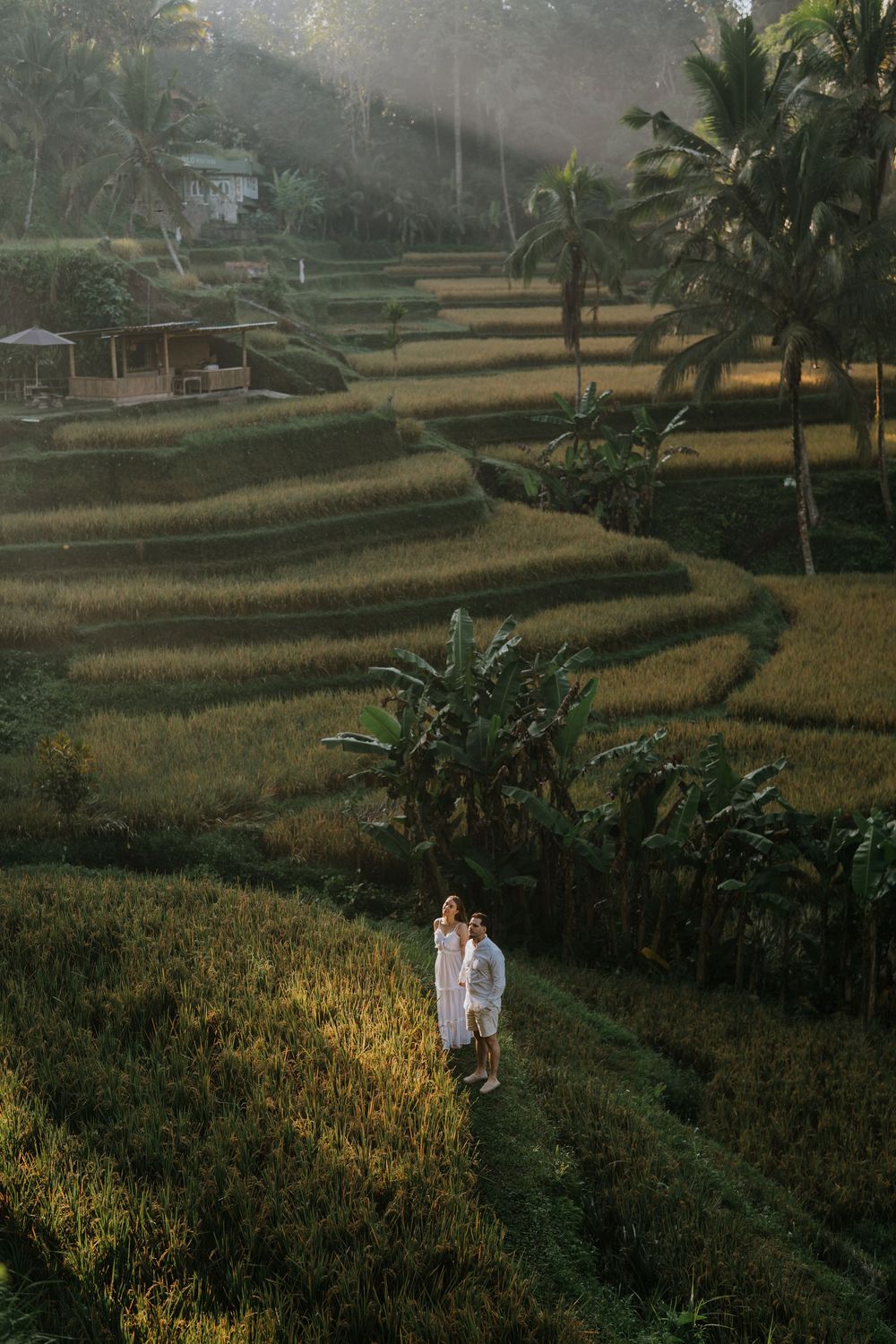 Romantic couple photoshoot at Ceking Rice Terrace