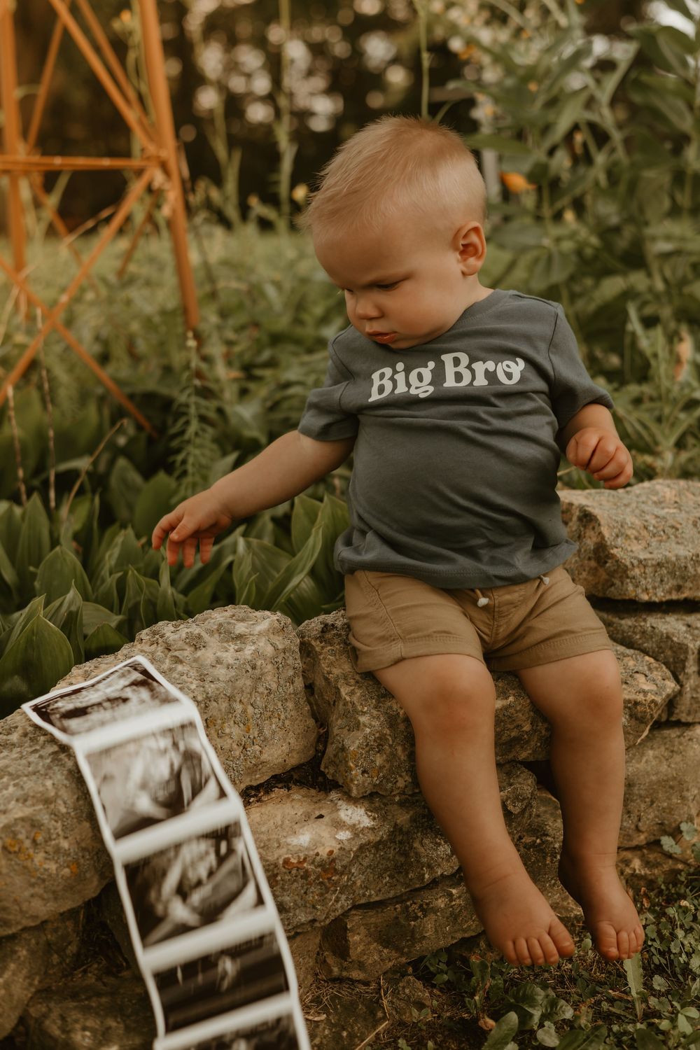 big brother announcement