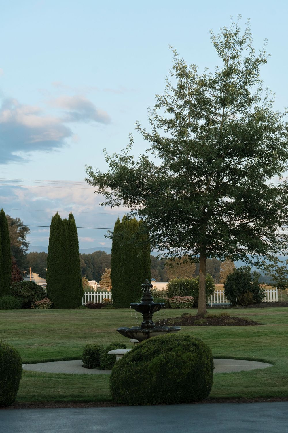 Elegant garden landscape with a tiered fountain, manicured shrubs, tall cypress trees, and a large shade tree at dusk.