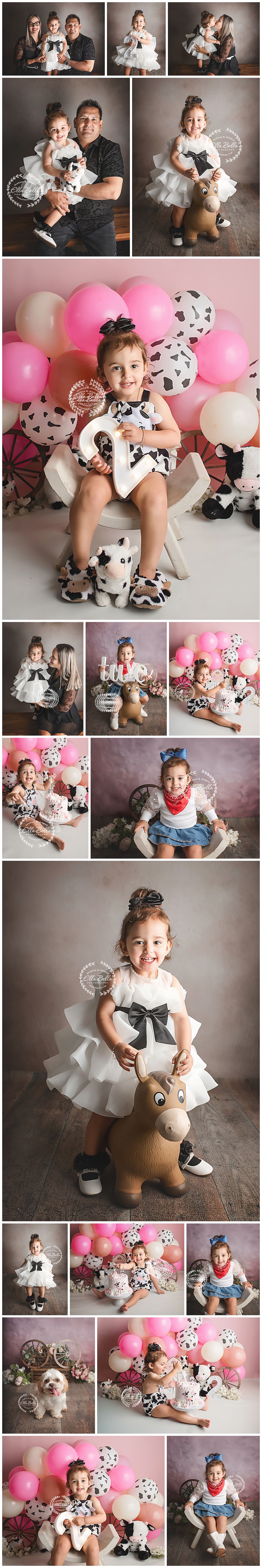 A toddler girl celebrates her 2nd birthday in a cow-print outfit with pink balloons, a stuffed cow, and family photos in a studio setting.