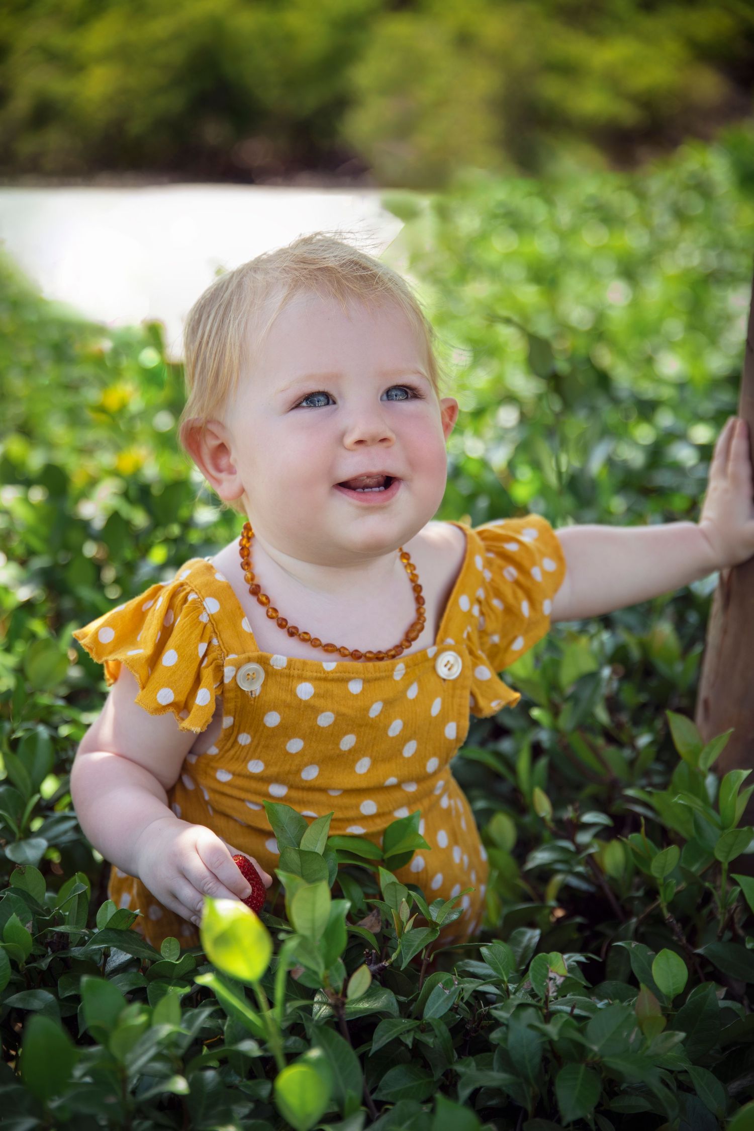 1 year old girl sitting in a garden for her Gold Coast 1 year photography session at Maylea Sandhu Photography