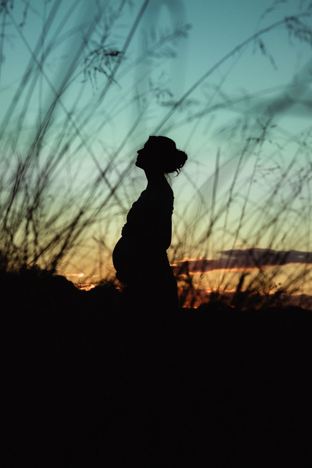 Silhouette of a pregnant woman wearing a hat against a colorful sunset sky with tall grass in foreground.