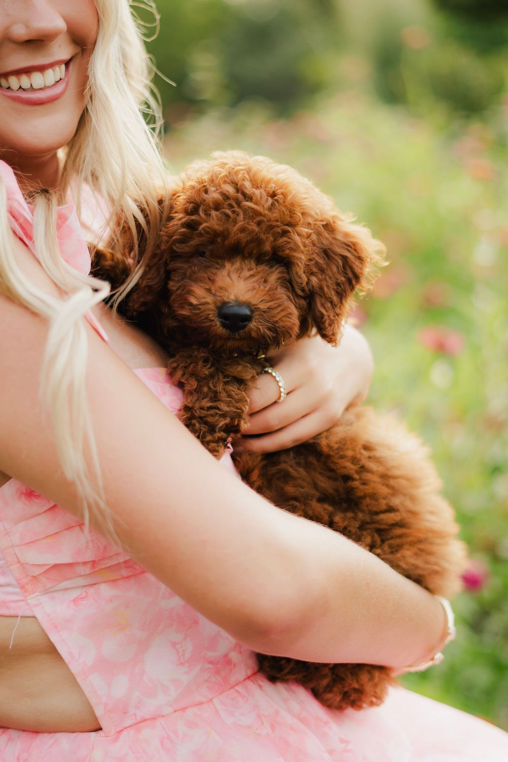 Smiling blonde woman in pink dress holding a fluffy brown toy poodle puppy outdoors in a garden.
