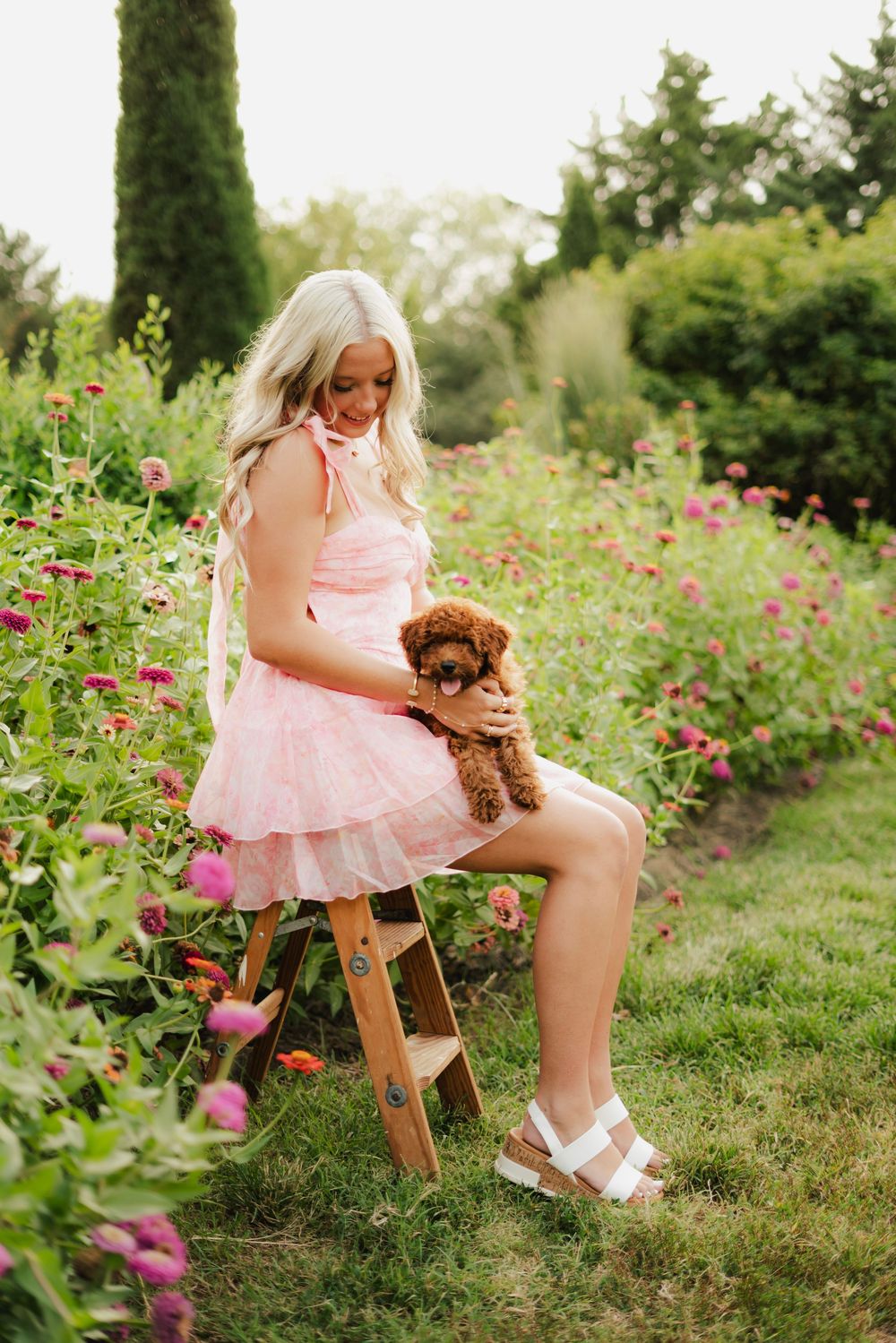 Blonde woman in pink ruffle dress sitting on wooden ladder in flower garden holding a small brown puppy.