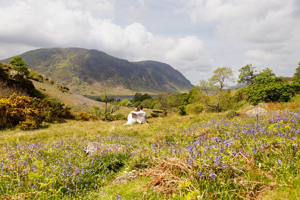 Bluebells and wildflowers carpet a sunlit grassy hillside with a large white boulder and a rugged green mountain beneath a cloudy sky.