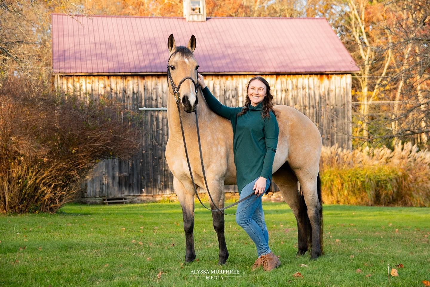 Equine photographer, Lehigh valley, black backgrounds, mo equine photography, horse and rider sessions, pet photography