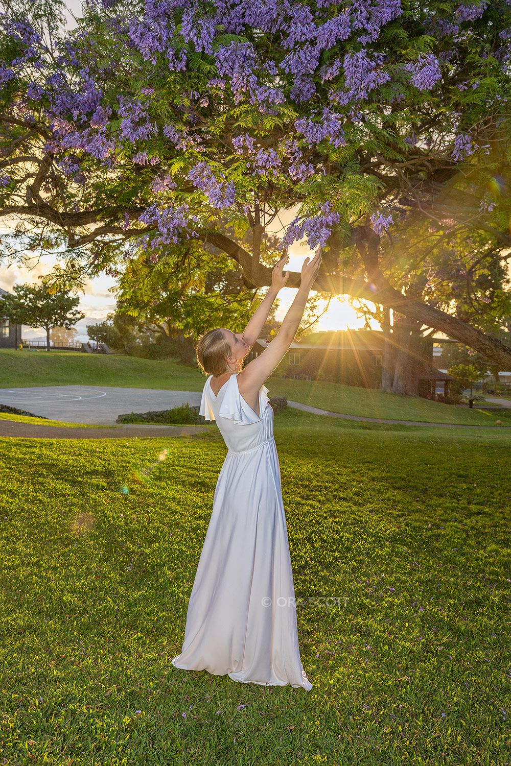 High School senior photo session at sunset under a blooming jacaranda tree on Maui