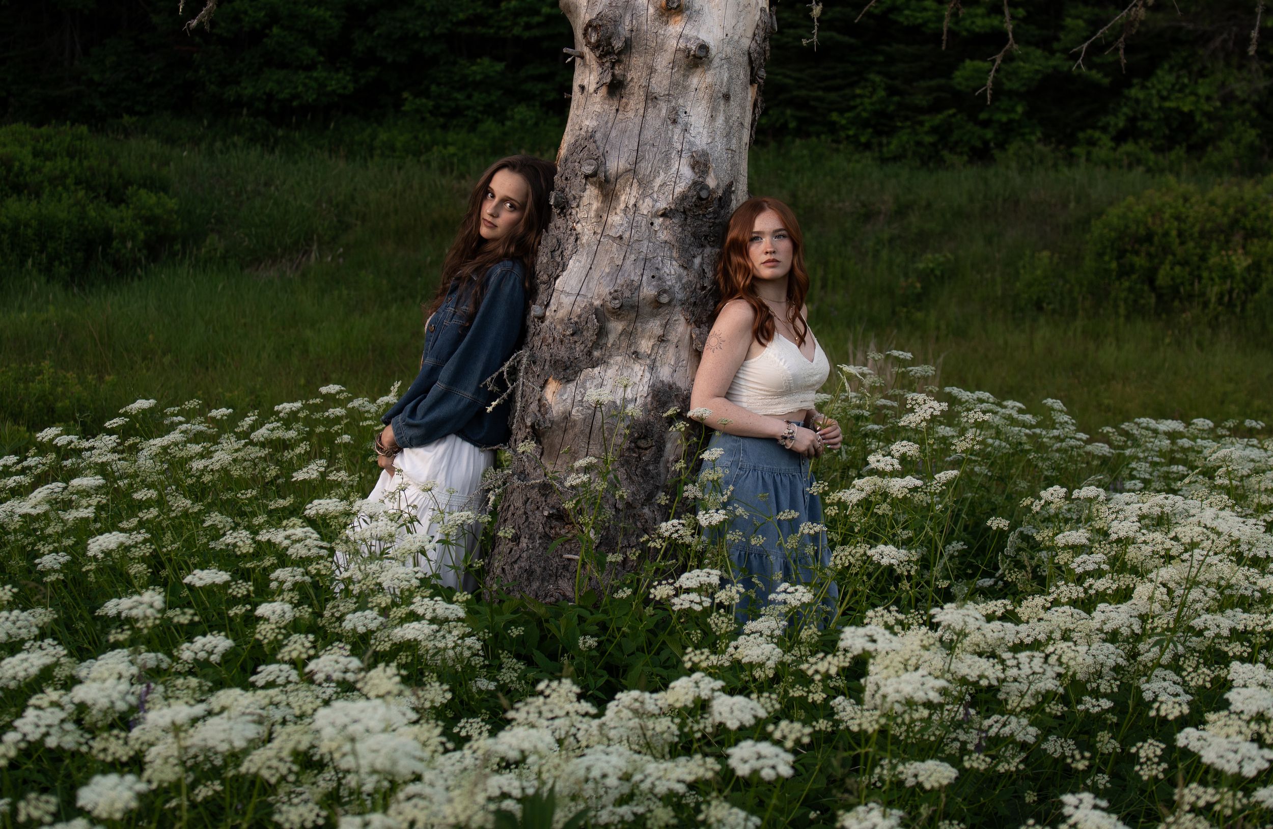 Two young women leaning against a birch tree surrounded by white wildflowers in a lush green meadow.