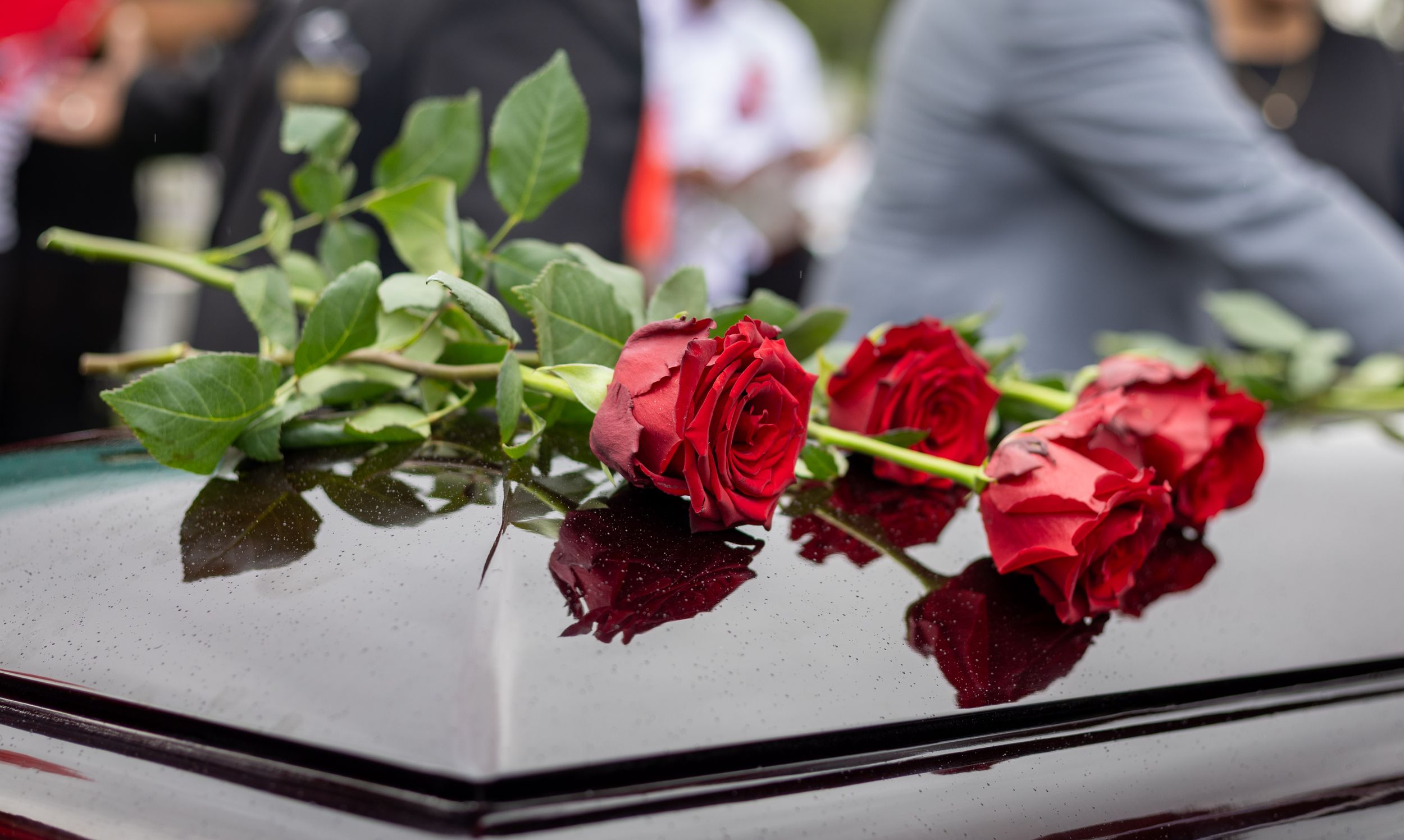 Red roses laid out on reflective surfaces during a memorial service.