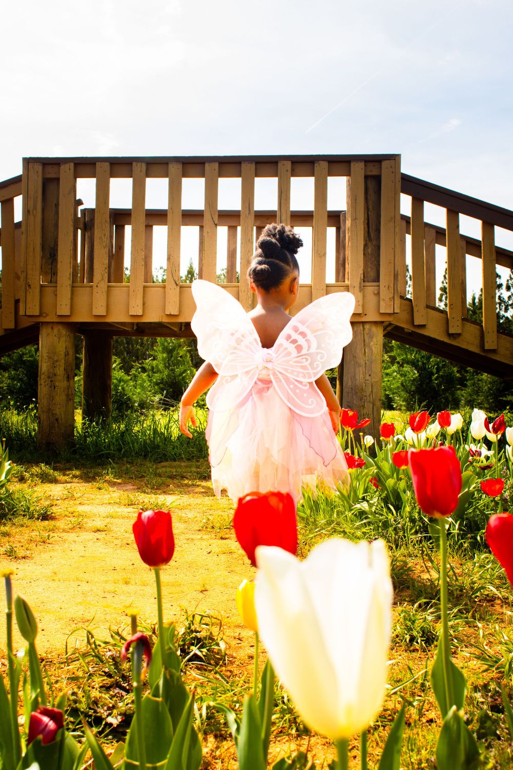 A collage of pink winged angel costumes and colorful tulips blooming in a spring garden with wooden fence in background.