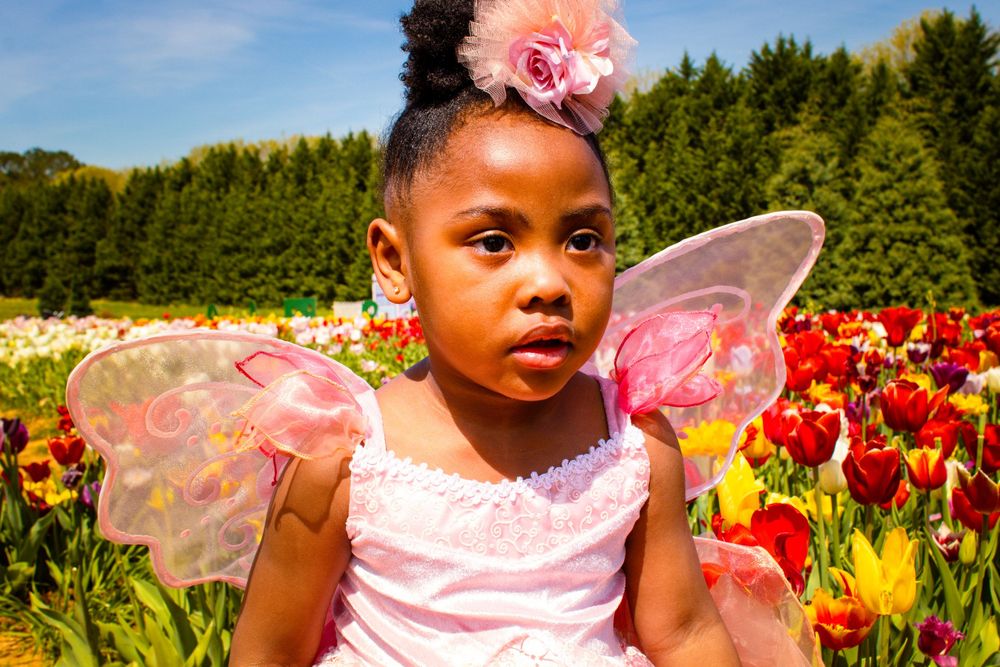 A child in pink fairy costume with shimmering wings sits in a vibrant tulip field on a sunny spring day.