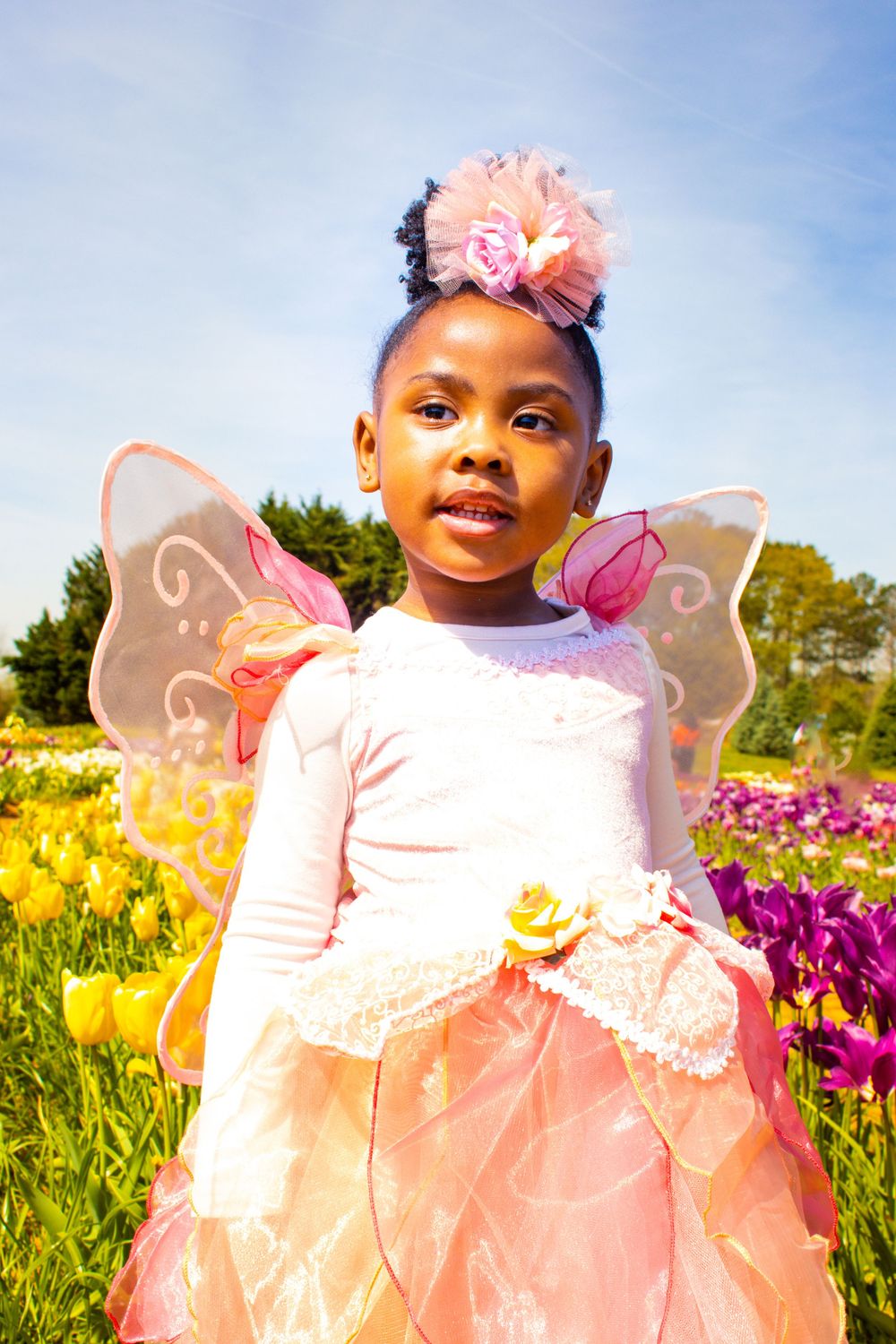 Young child in a pink fairy costume with wings poses joyfully in a vibrant flower field on a sunny day.