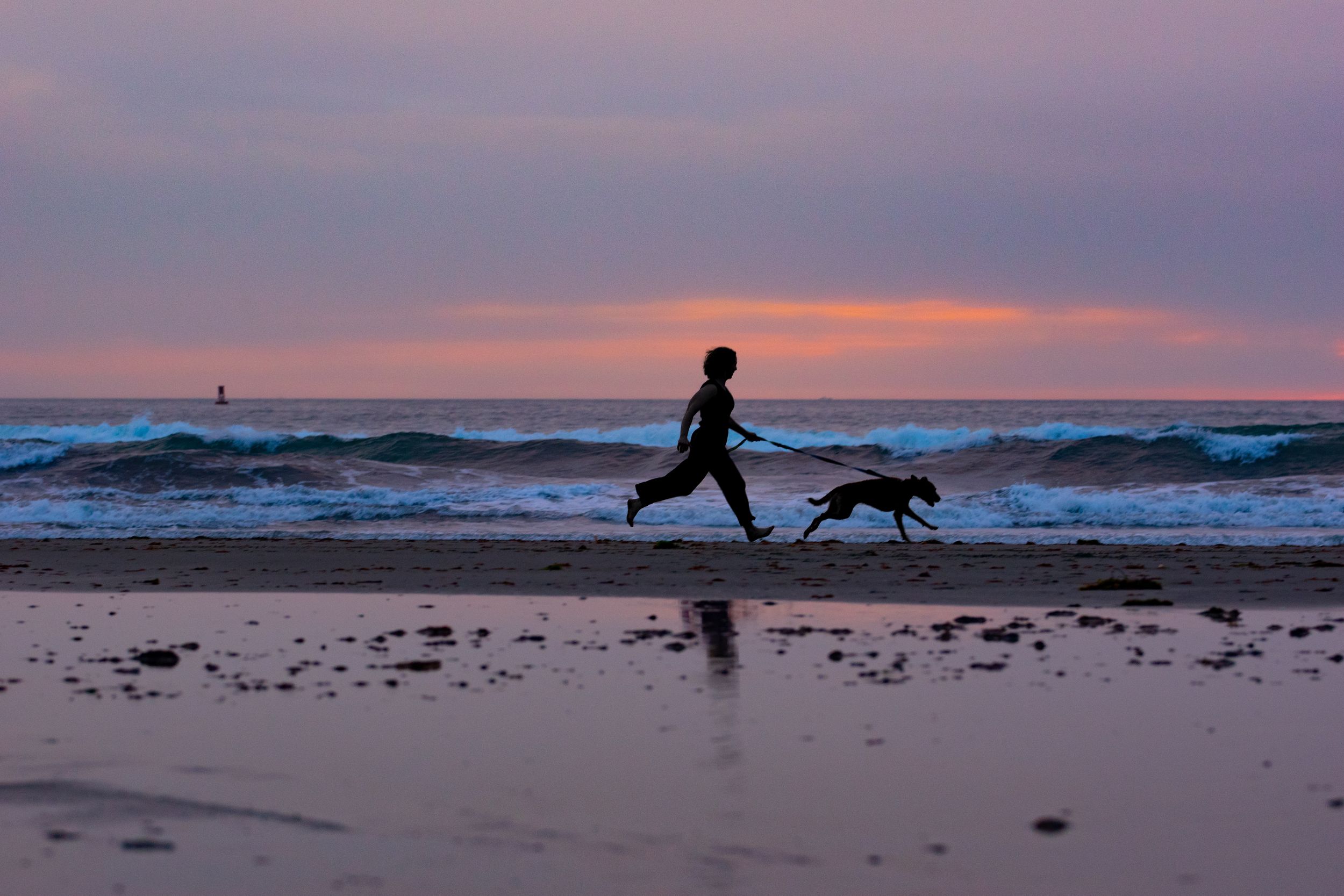 Silhouette of person running with dog along beach at colorful purple and pink sunset.