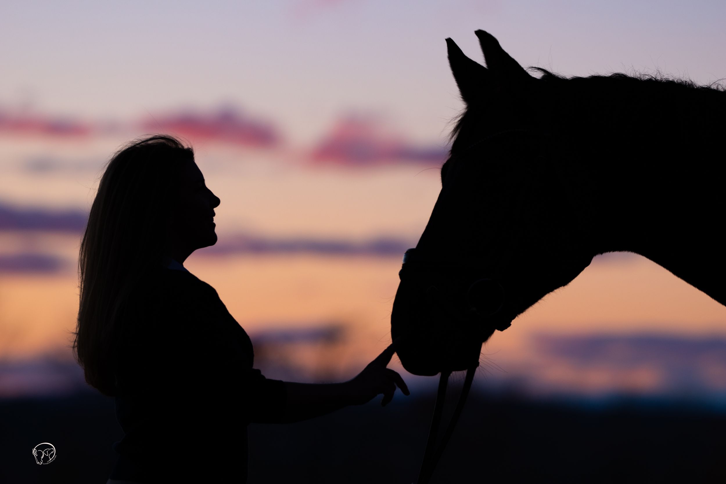 Silhouette of woman and horse facing each other against vibrant pink and purple sunset sky.