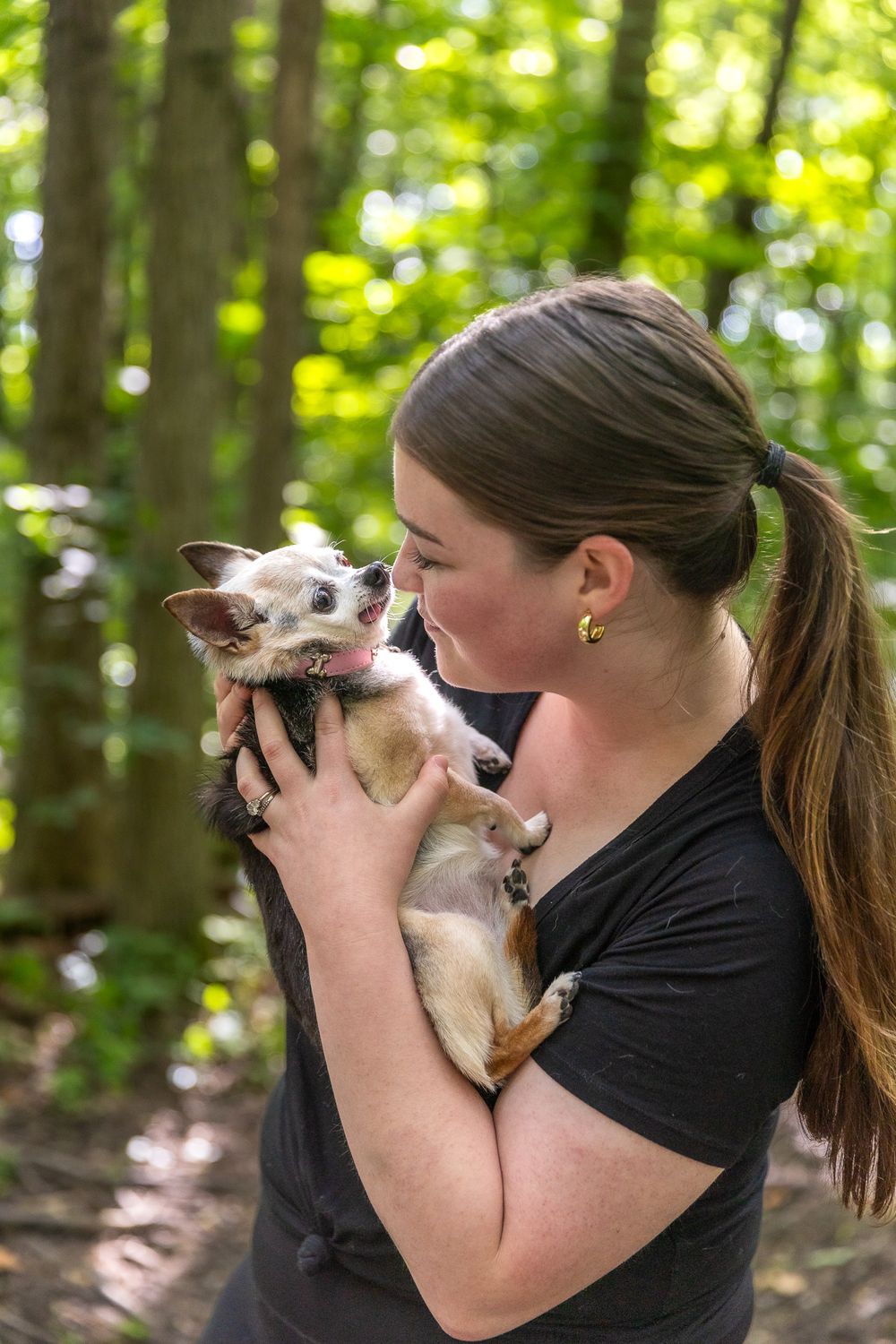 Person holding up small chihuahua with bright forest scenery in background.