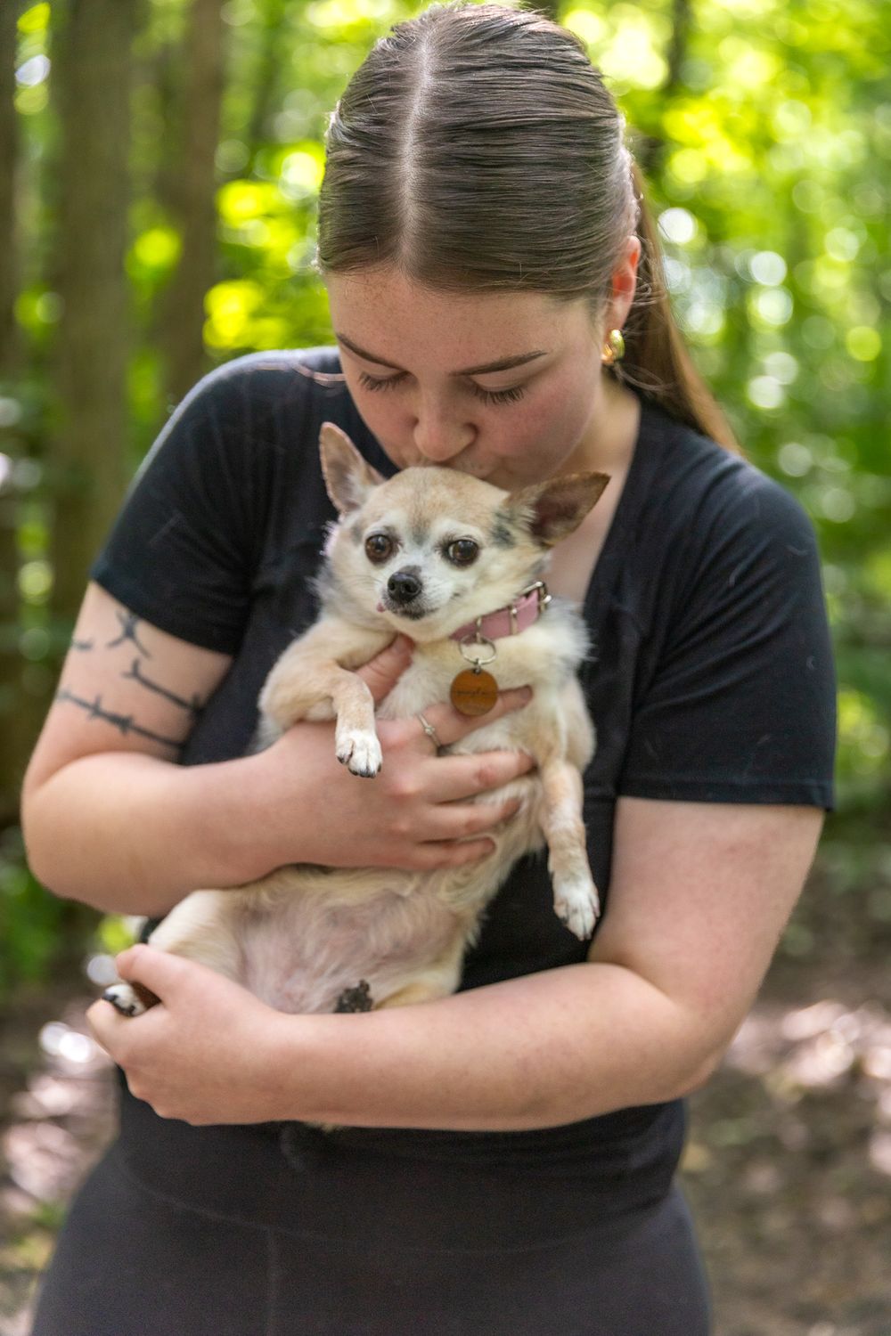 Person cradling a chihuahua wearing a collar in wooded setting.