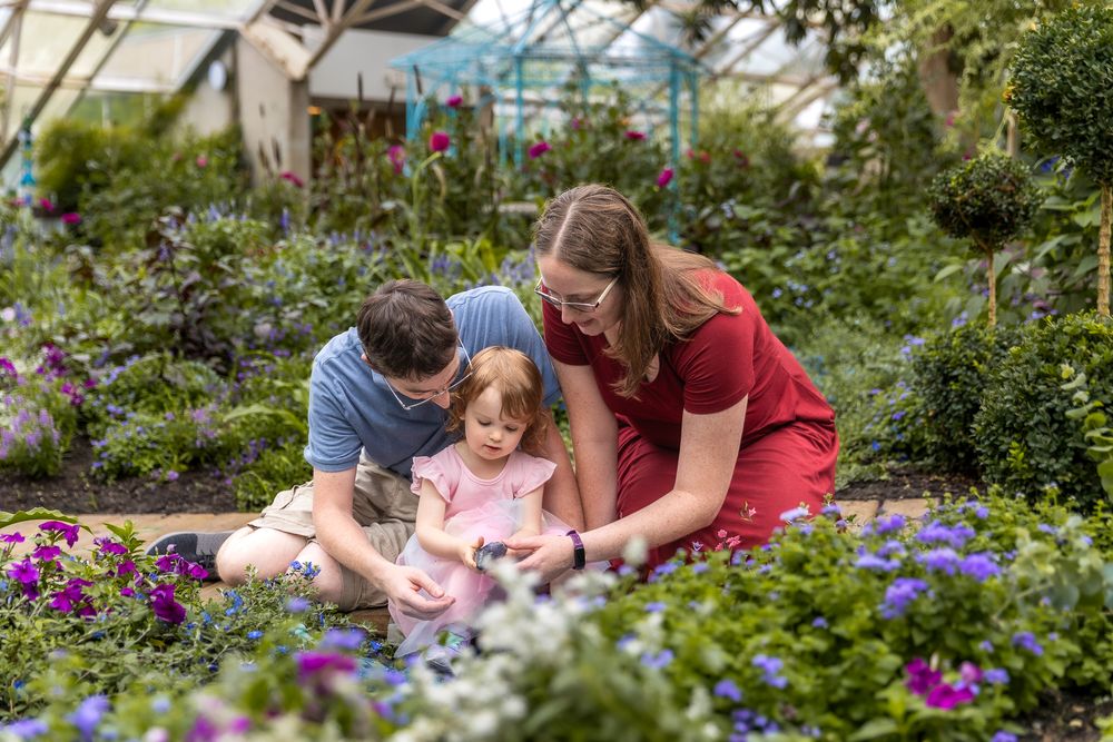Adults and children explore a lush garden filled with blooming purple flowers and green plants on a sunny day.