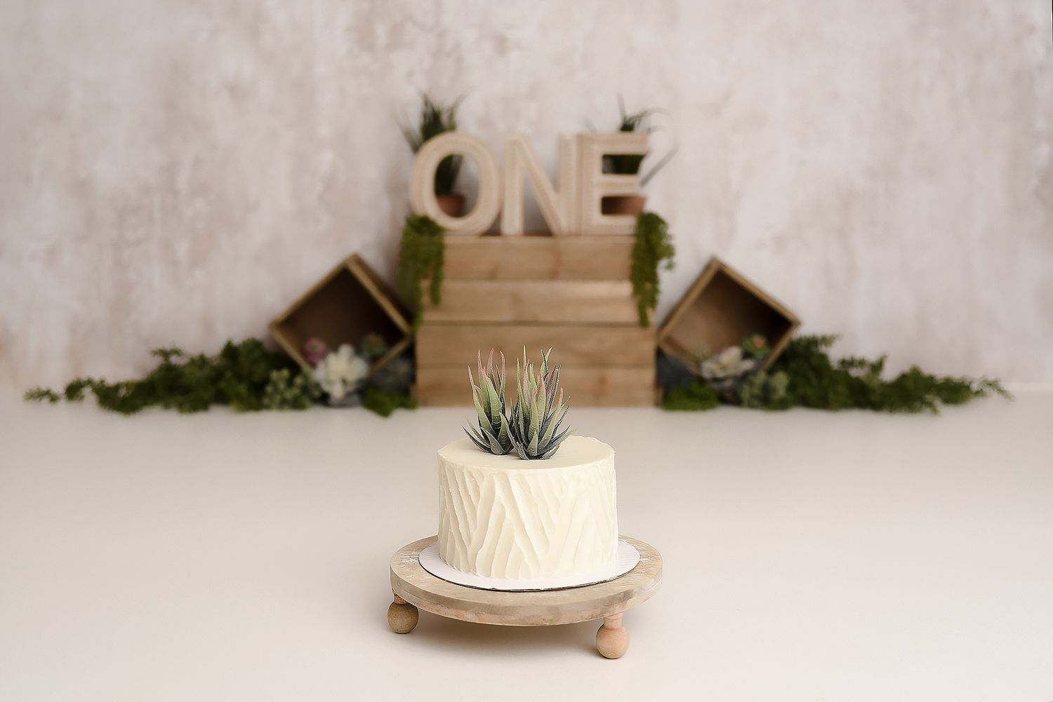 White textured smash cake with succulent topper on wooden stand with ONE letters and crate backdrop.
