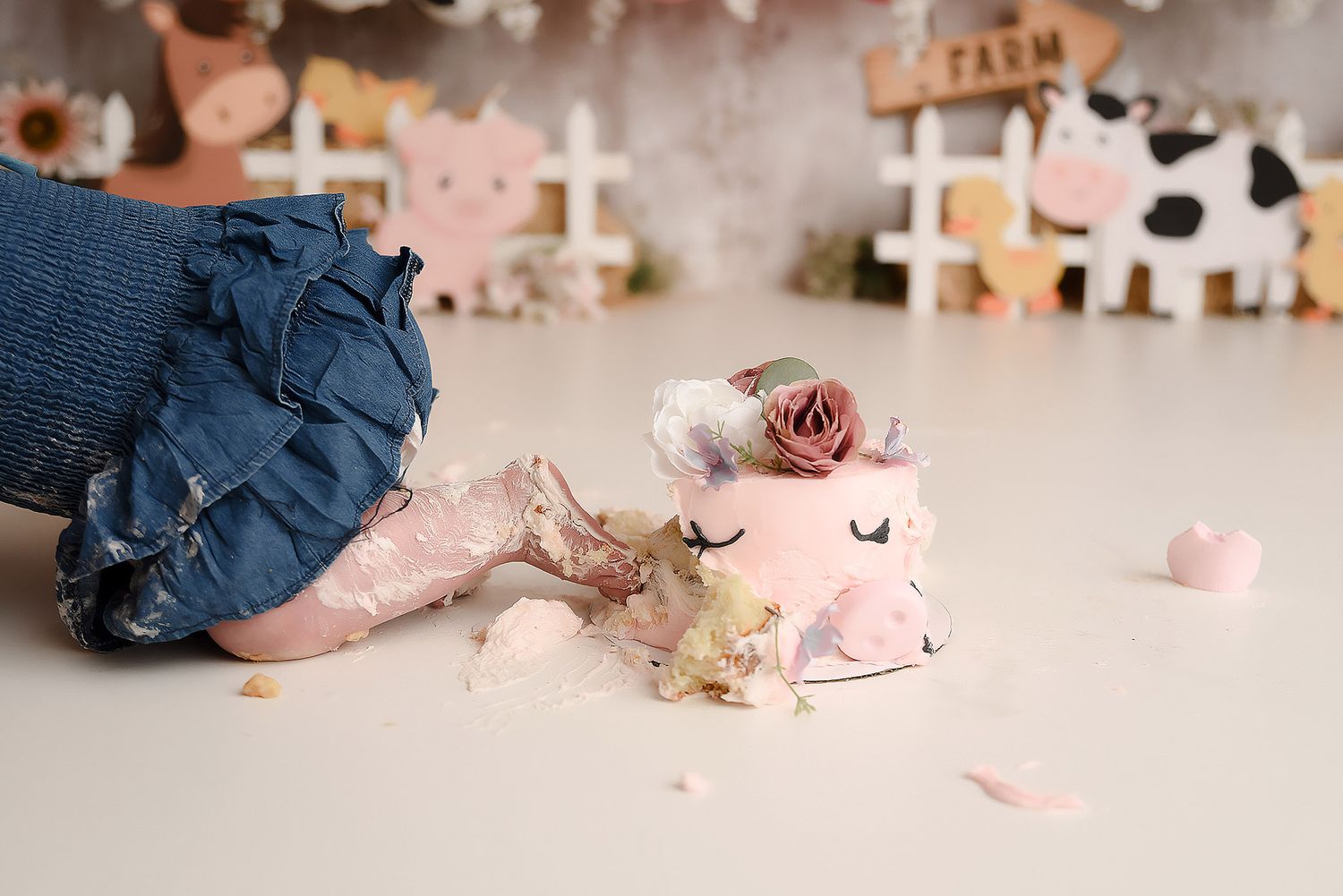Baby smashing pink floral farm cake with denim ruffled outfit and farm themed balloon backdrop.