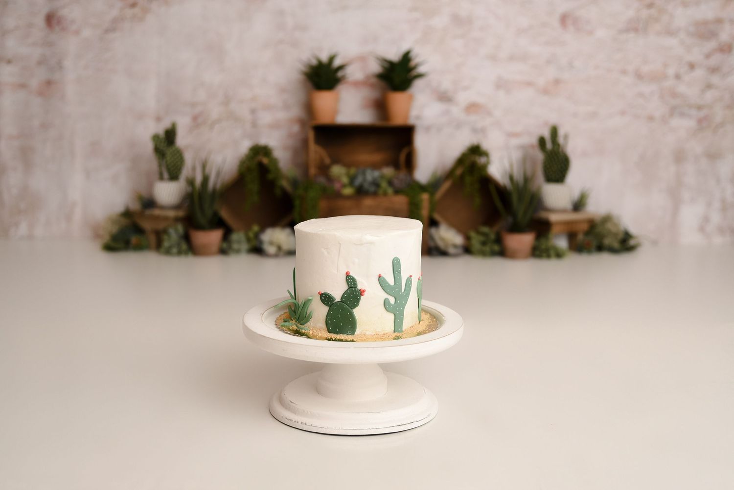 White smash cake with cactus design on pedestal with potted succulent garden backdrop.
