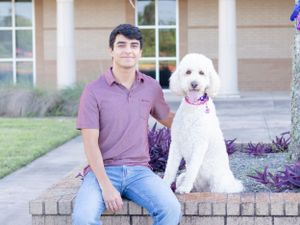 A white Goldendoodle dog wearing a pink collar sits with someone on a brick ledge outside a building.