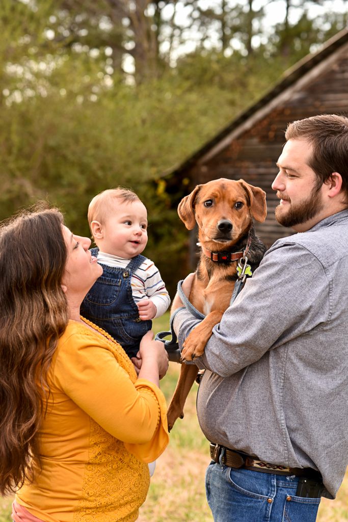 Family session, minis
