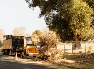1350 Tree Services photoshoot. blue collar photographer